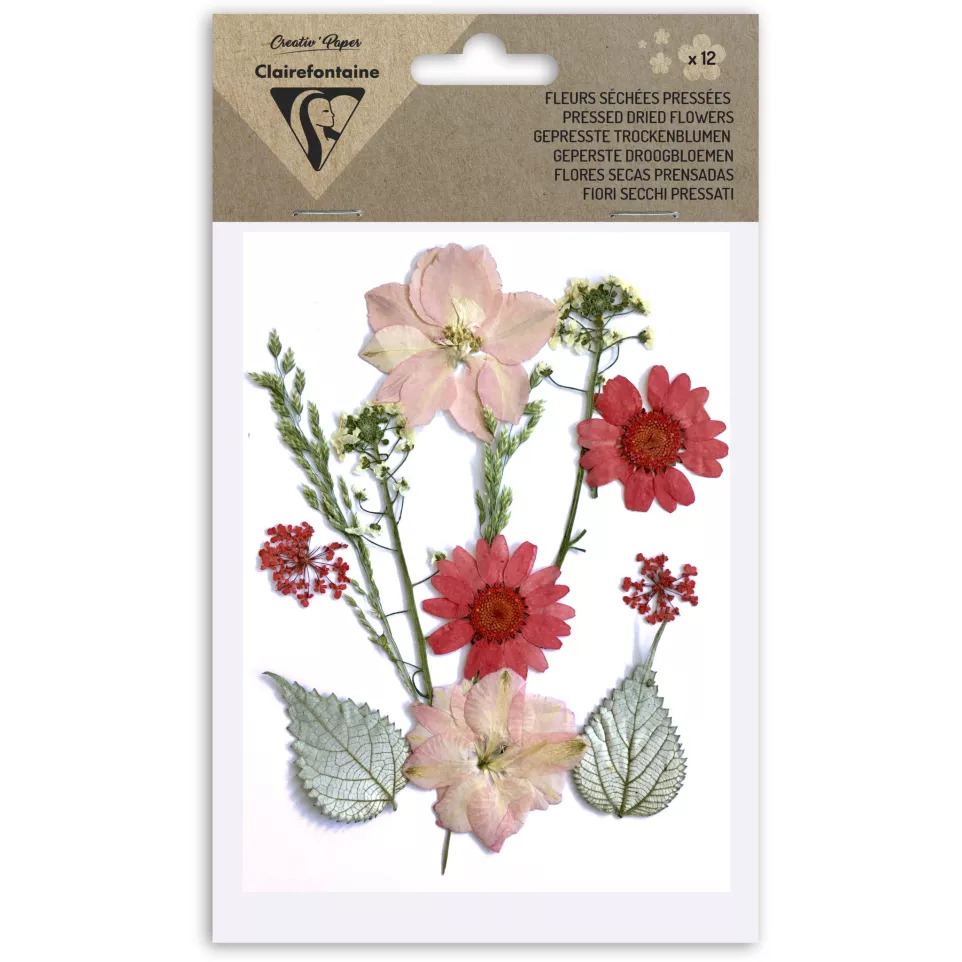 PRESSED DRIED FLOWERS, 12 pcs, Red-/ Pc.