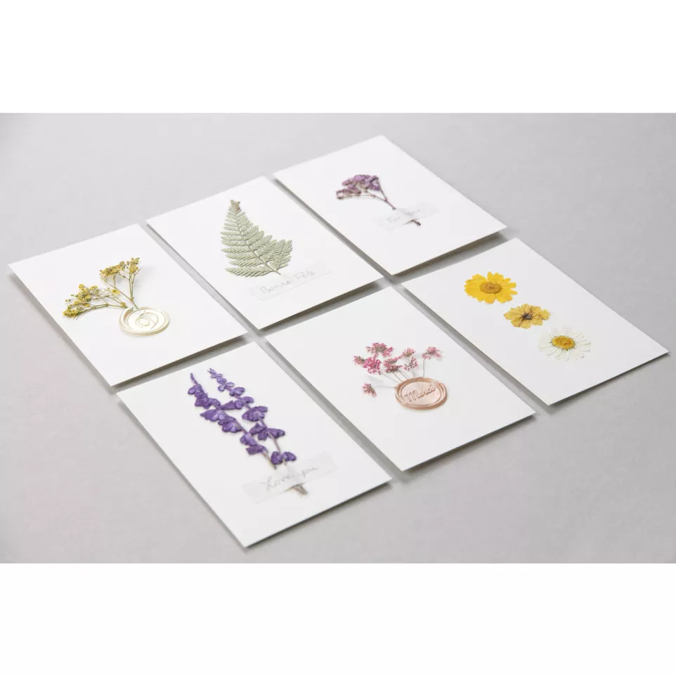 PRESSED DRIED FLOWERS, 12 pcs, Red-/ Pc.