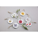 PRESSED DRIED FLOWERS, 12 pcs, Red-/ Pc.