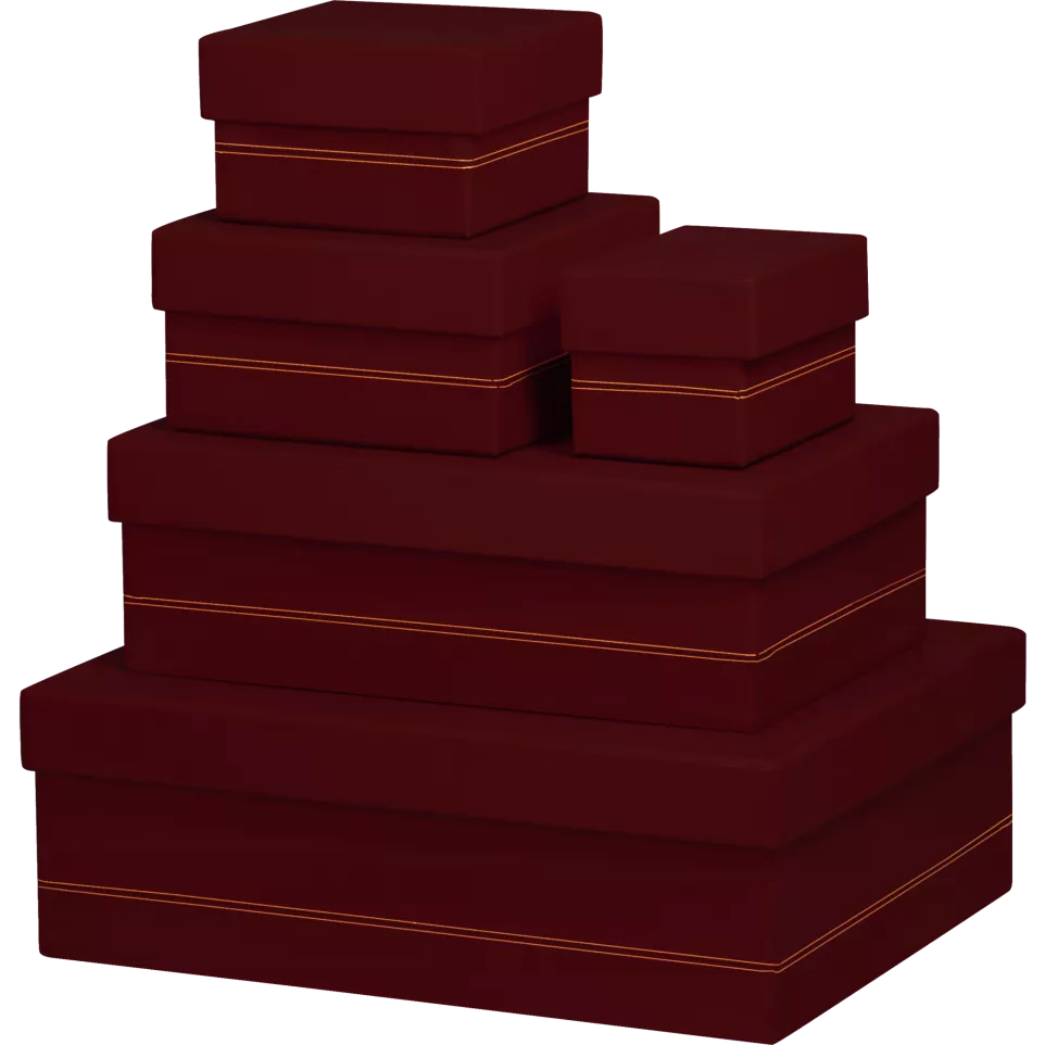 Rhodiarama set van 5 dozen burgundy-/...