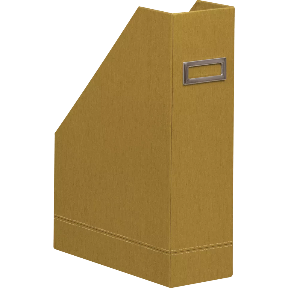 Rhodiarama tijdschriftenhouder goud-/...