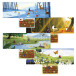 Stick Story, The Seasons/ Pc.