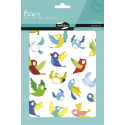 Baby, Sach 6 pl 14,8x21cm, Oiseaux/ Pce
