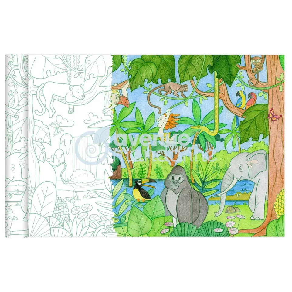 Graffy Roll, Jungle-/ St.