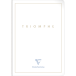 TRIOMPHE WIT schrift- A4 48bl uni 90g/ St.