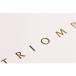 Triomphe GOLD cahier piqûre textile A4 96 pages uni papier blanc 90 g/ Pce