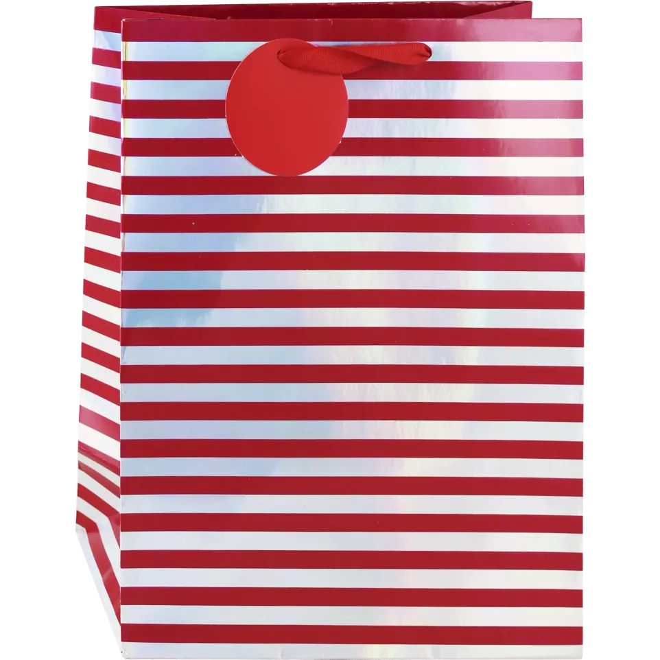 *Rayures holo 2 designs ass. sac L-/ St.