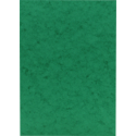 Karton Europa 50 vel A4 256g groen-/ St.