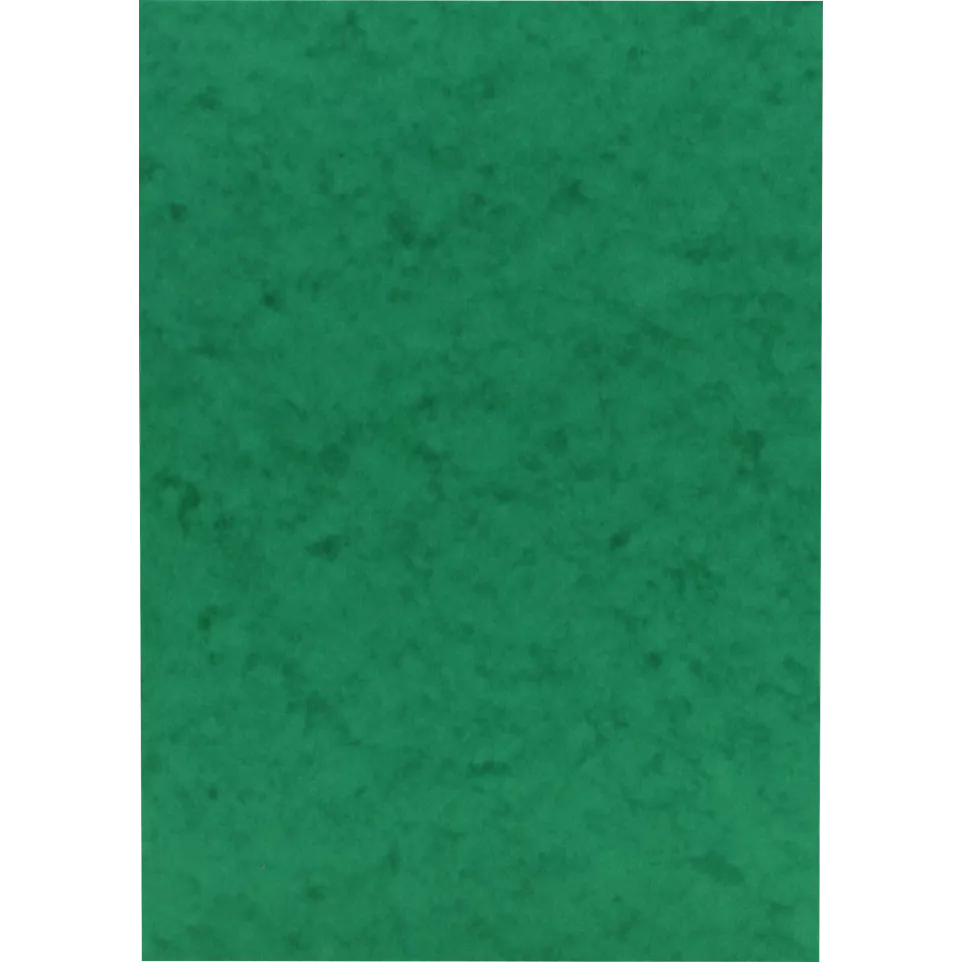Karton Europa 50 vel A4 256g groen-/ St.