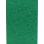 Karton Europa 50 vel A4 256g groen-/ St.