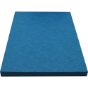 Karton Europa 50 vel A4 256g blauw-/ St.