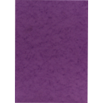 Europa Coloured Card A4/ Pc.