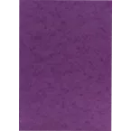 Europa Coloured Card A4/ Pc.