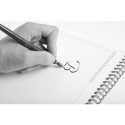 Brause, Box of 50 Bandzug (0.5mm) Calligraphy Nibs/ Pc.