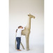 Giraf H : 160 cm-/ St.