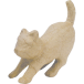 Chat à l'affût-/ Pce