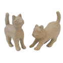 Chat à l'affût-/ Pce