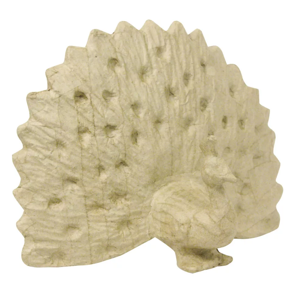 Paon 24cm/ Pce