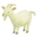 Mimi Stick', Sach 4 pl 10,5x16cm, Ferme/ Pce