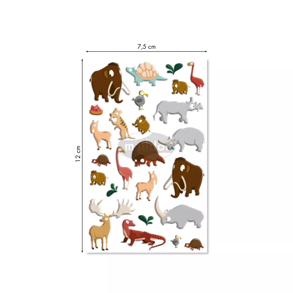 Cooky, Pak 1 vel 7,5-x12cm...