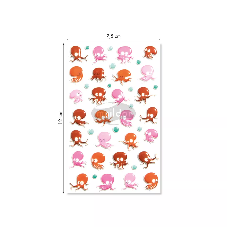 Cooky, Octopus-/ St.