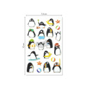 Cooky, Sach 1 pl 7,5x12cm, Pingouins/ Pce