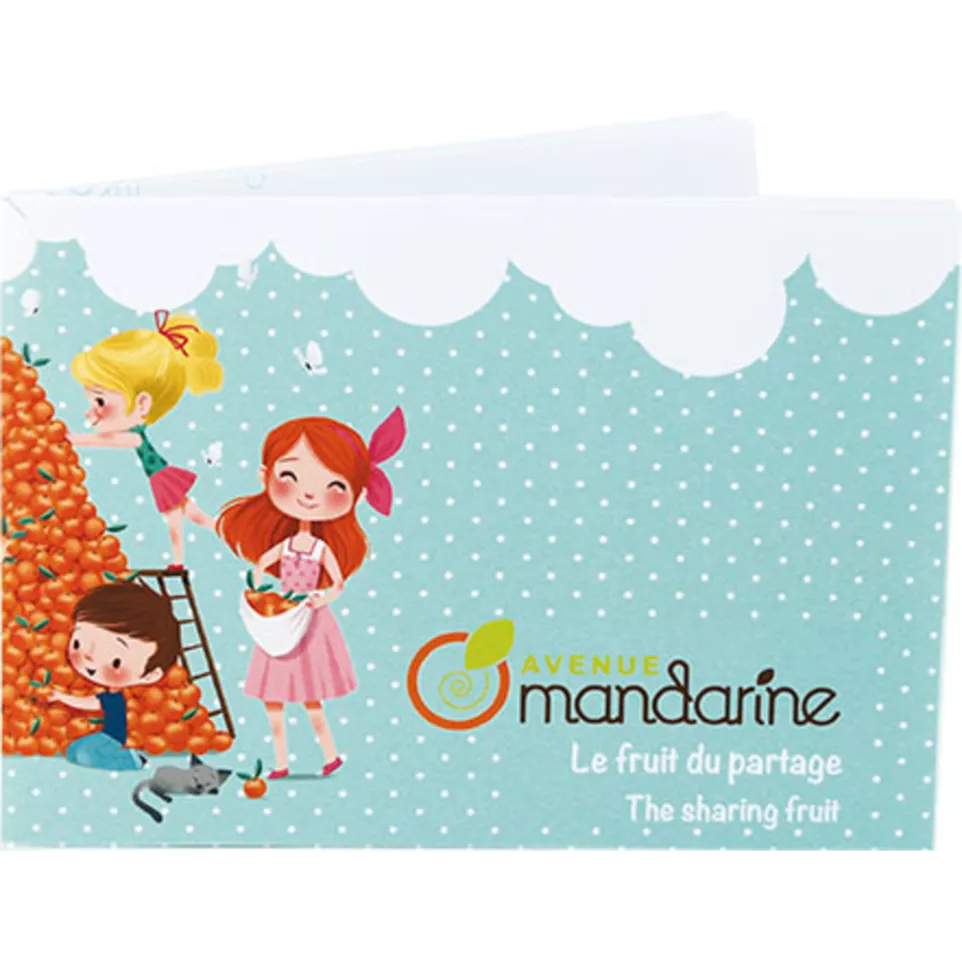 Av.Mand. presentatieflyer-/ St.