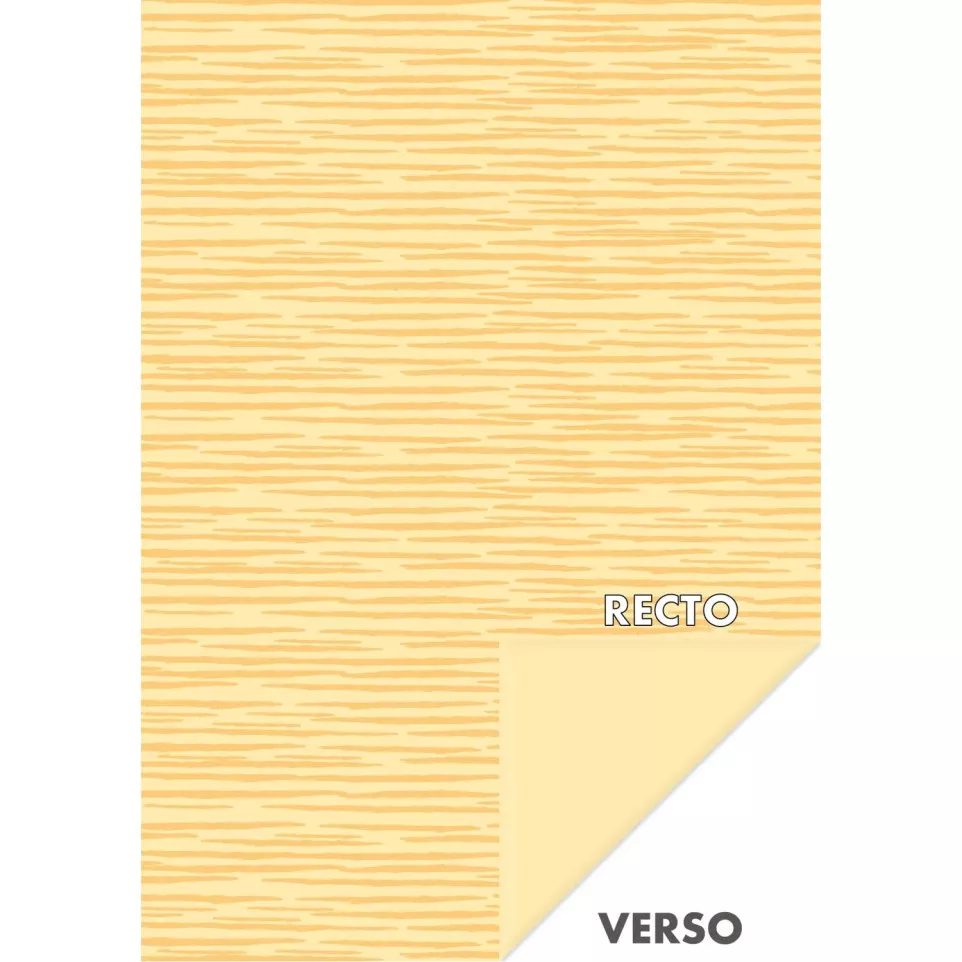 Paper Pack, A4 Grrrr/ Pc.