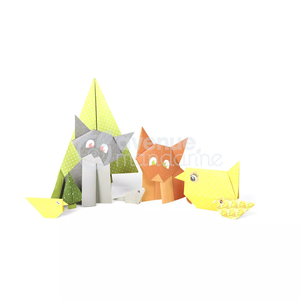 Coffret créatif, Origami Initiation/ Pce