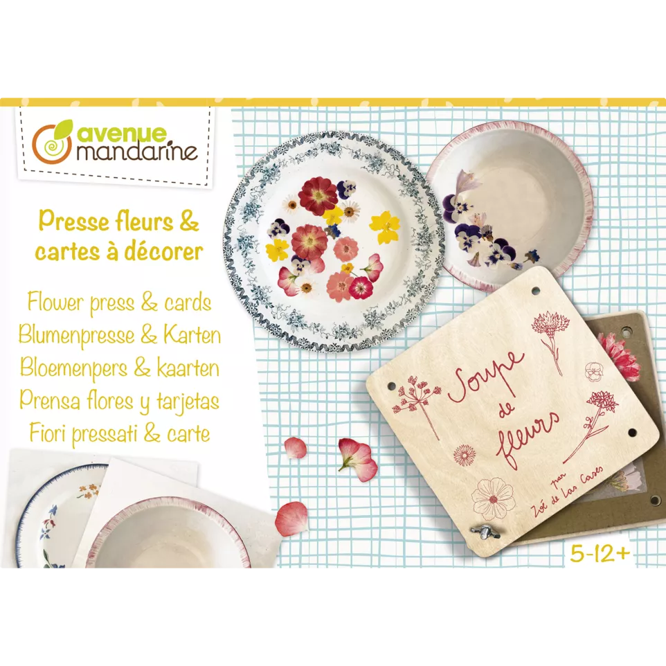 Boîte créative, Pressefleurs et...
