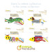 Graffy Bookmarks, Poisson-/ Pc.