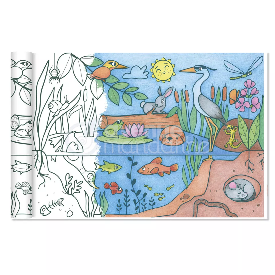 Graffy Roll, Ecosystem/ Pc.