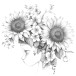 Wild 1 colouring book/ Pc.