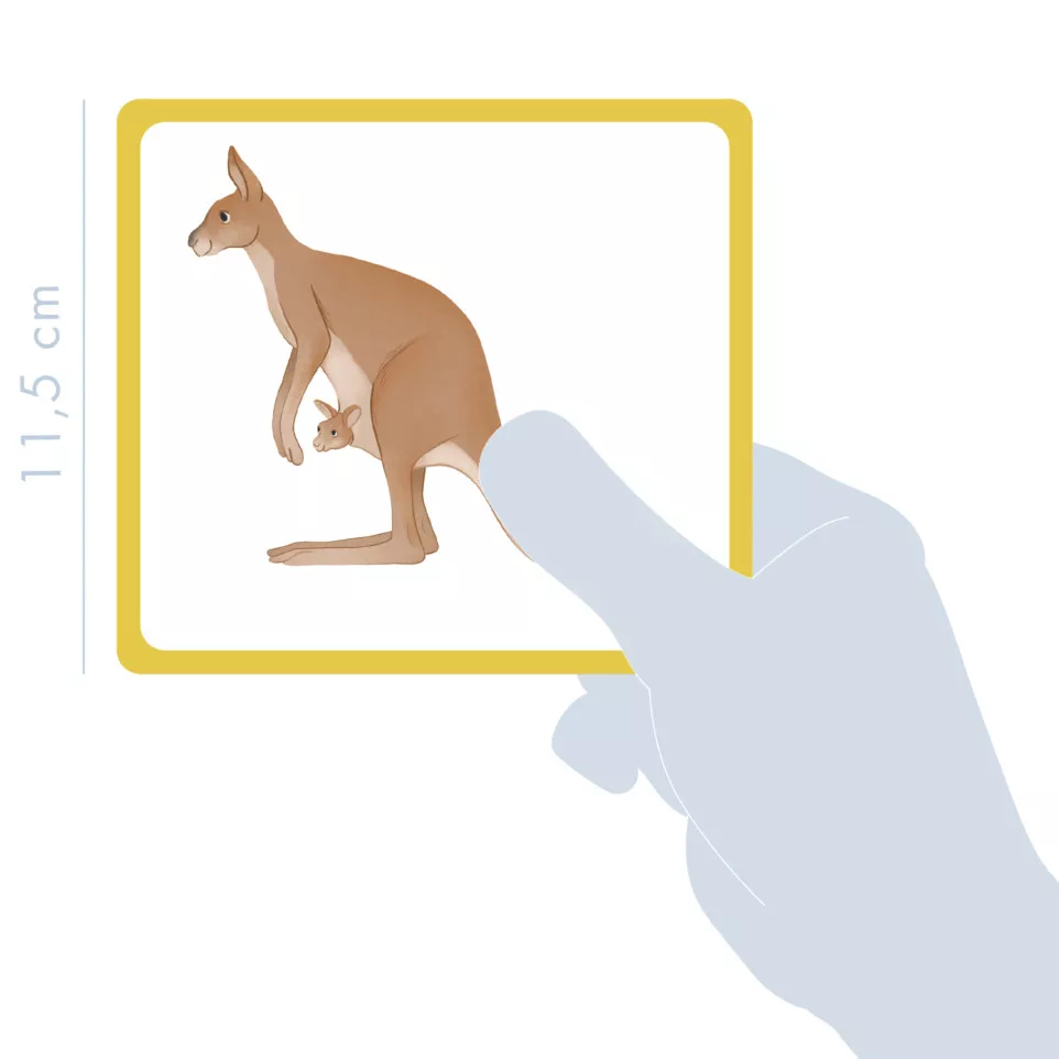 Imagier, Animaux sauvages/ Pce