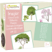 Imaging, Trees/ Pc.