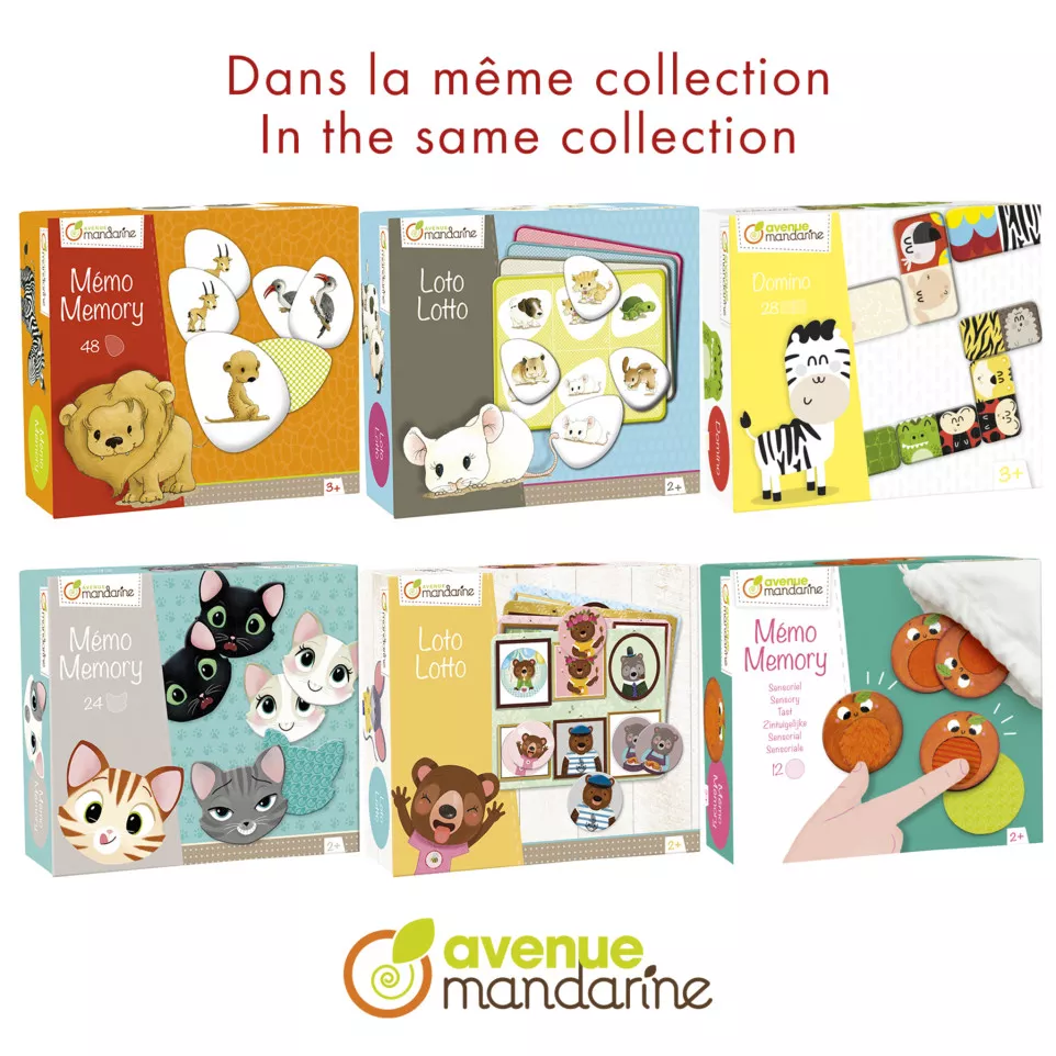 Memory zintuigen-/ St.