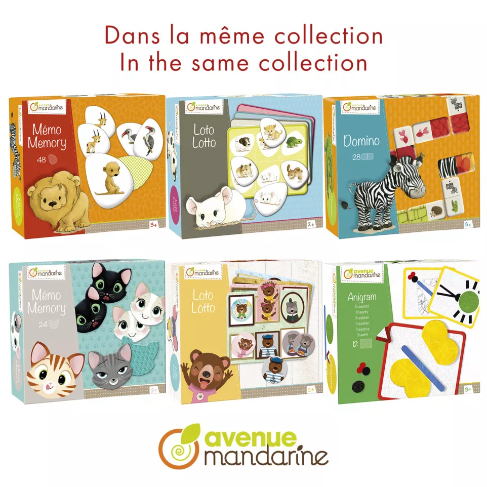 Educatief spel, Anigram-/ St.