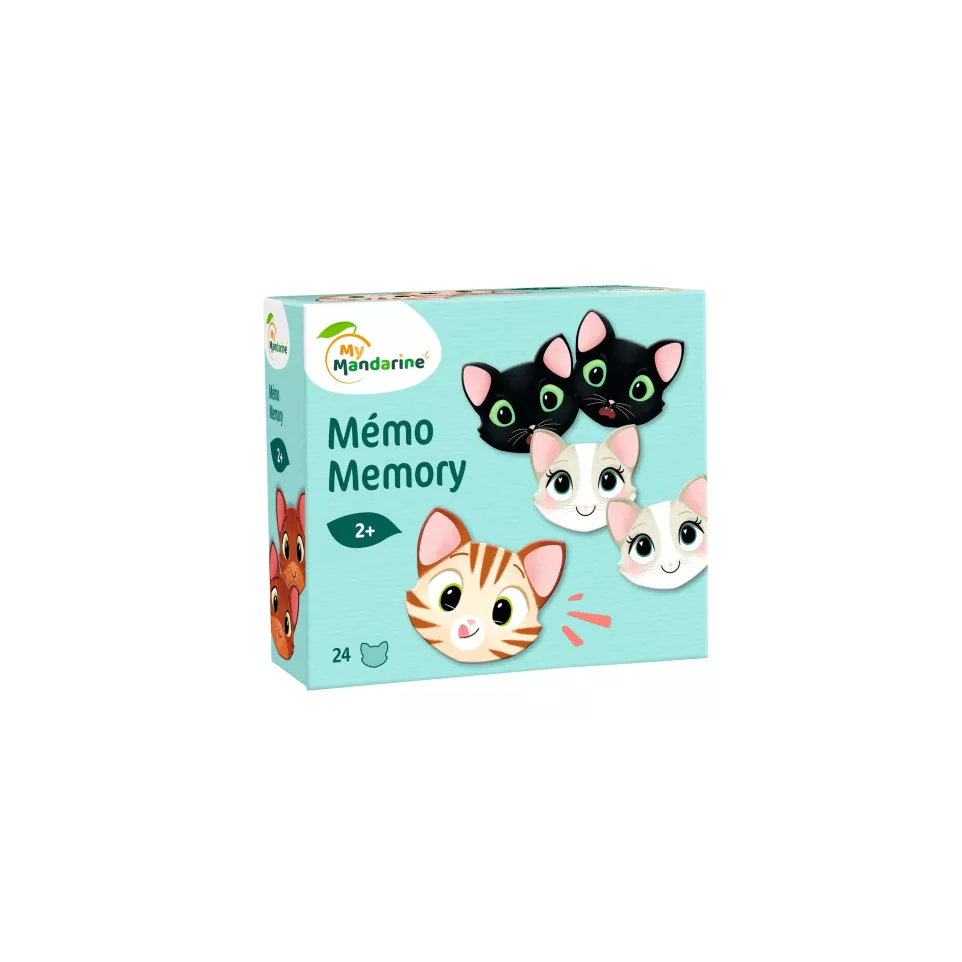 Memory, Cats and expressions/ Pc.