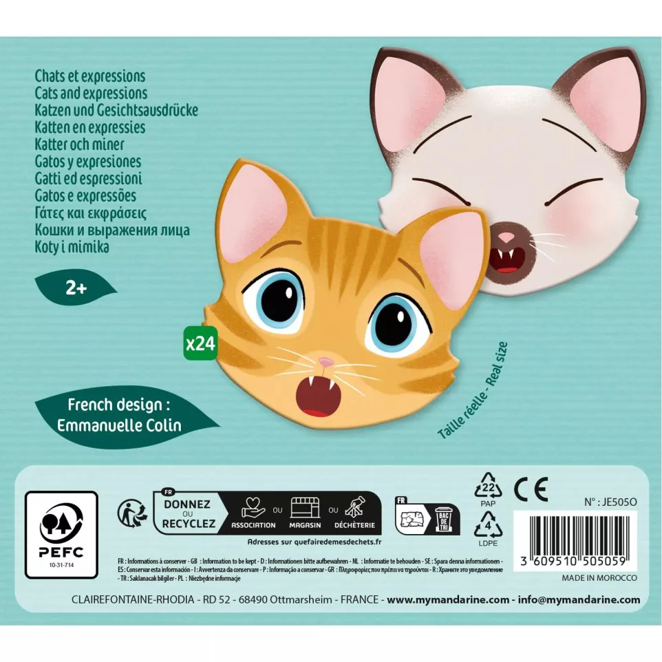 Memory, Cats and expressions/ Pc.
