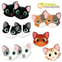 Memory, Cats and expressions/ Pc.