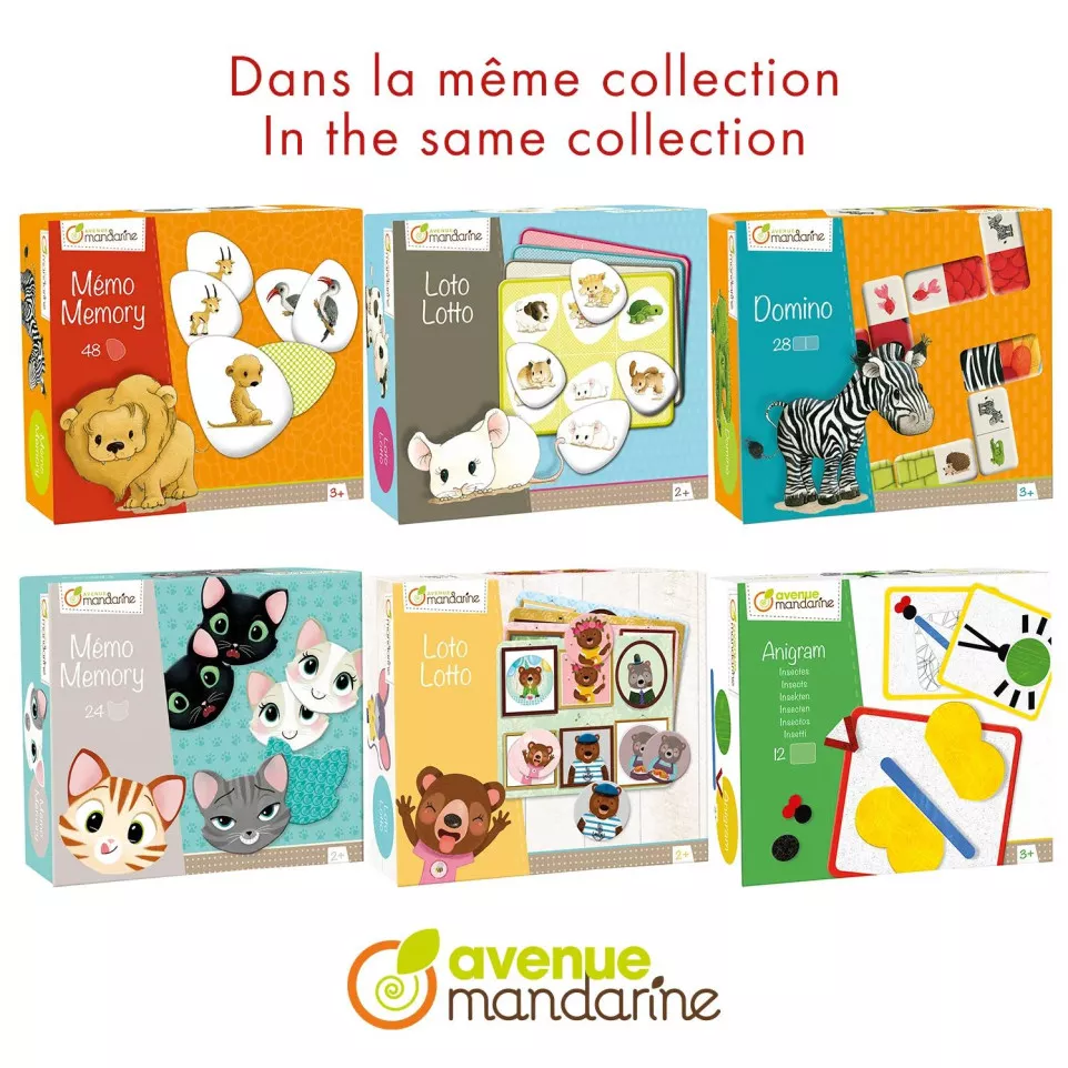 Memory, Katten en expressies-/ St.