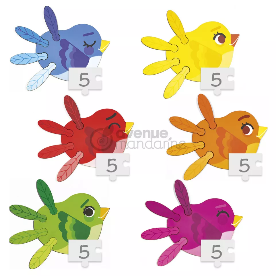 Educativ' Puzzle, Dégradés de...