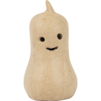 Butternut Squash...