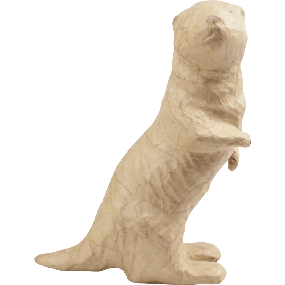 Otter-/ St.