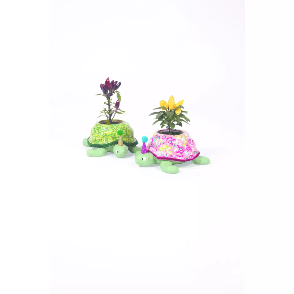 Turtle planter/ Pc.