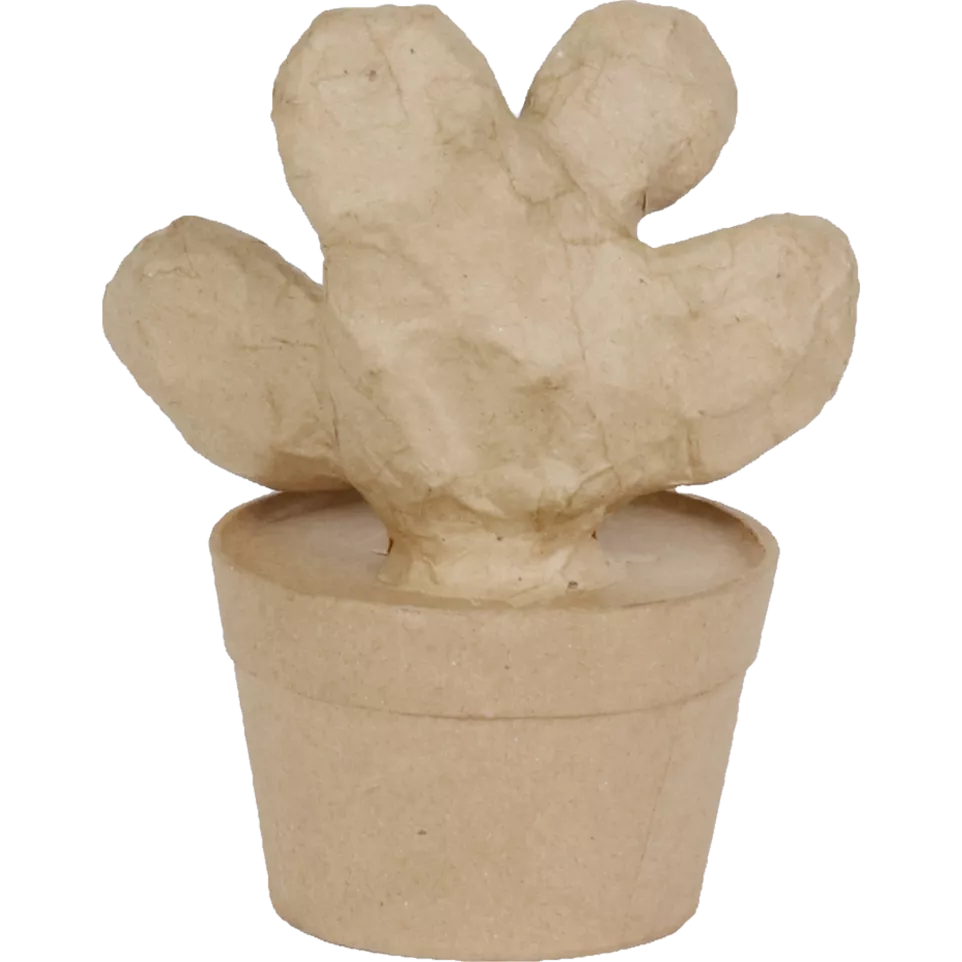 Cactus raquette 9,5x13x16,5cm/ Pce