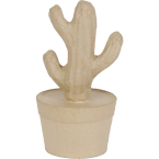 Cactus colonne...