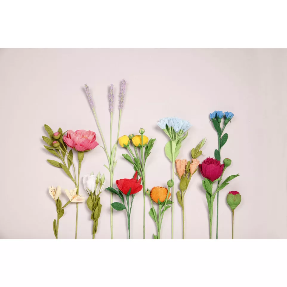 Clairefontaine Florist Crepe Paper 10...