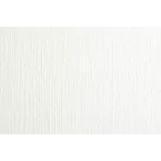 Rol Olieverf wit 10x1,10m 240g-/ St.