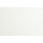 Rol Olieverf wit 10x1,10m...